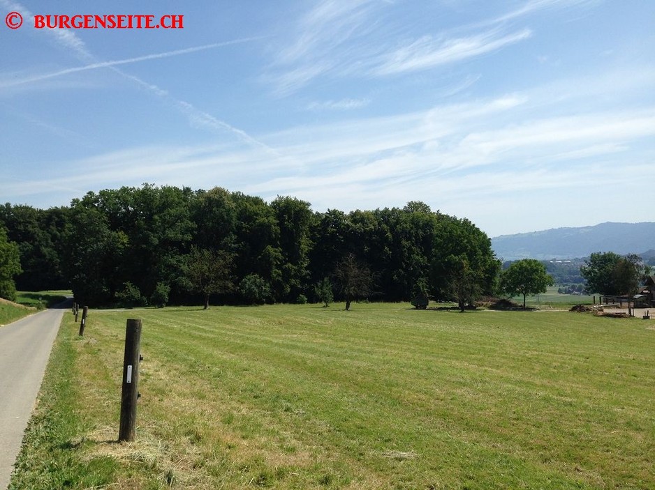 Ruine Iberg