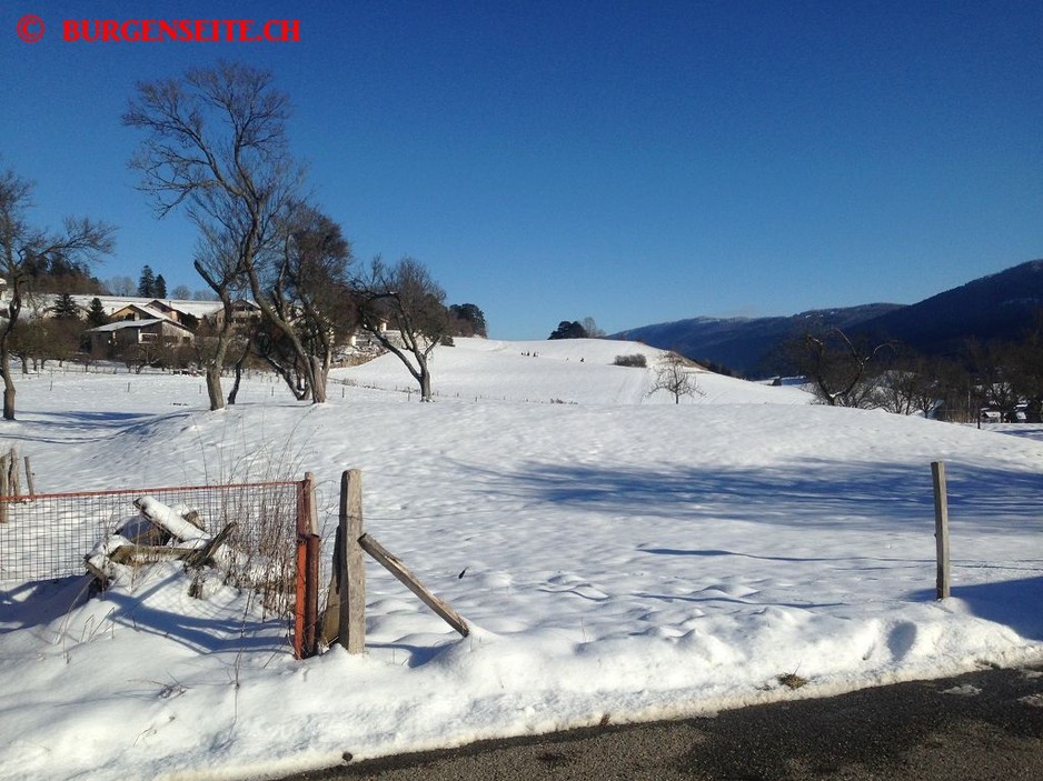 Burgstelle La Motte