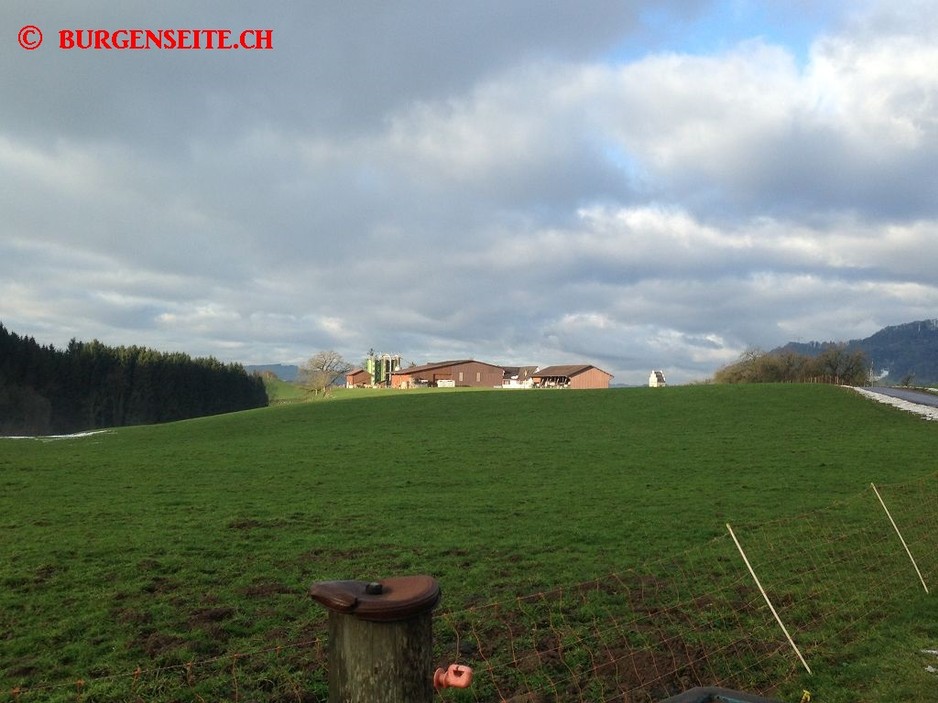 Burgstelle Lommis