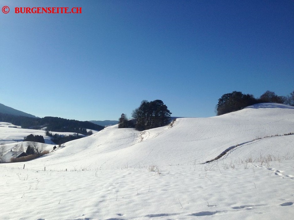 Burgstelle Malleray