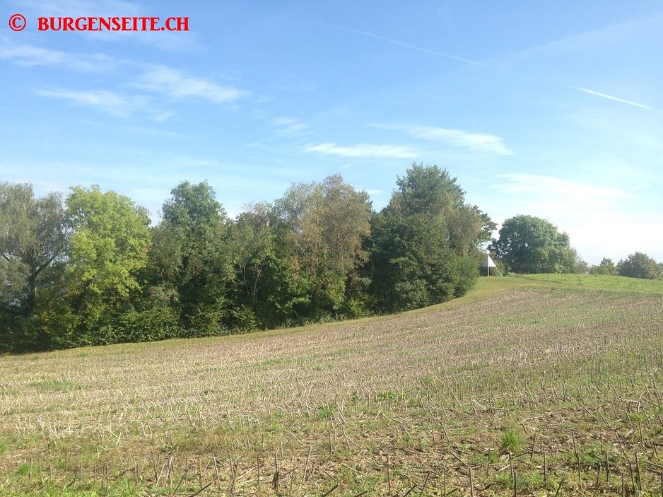 Burgstelle-Mueliberg–2- Burgstelle Müliberg