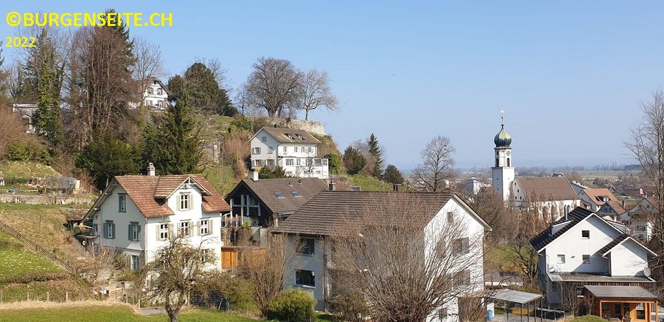 Burgstelle-Neu-Rheineck–1- Burgstelle Neu Rheineck