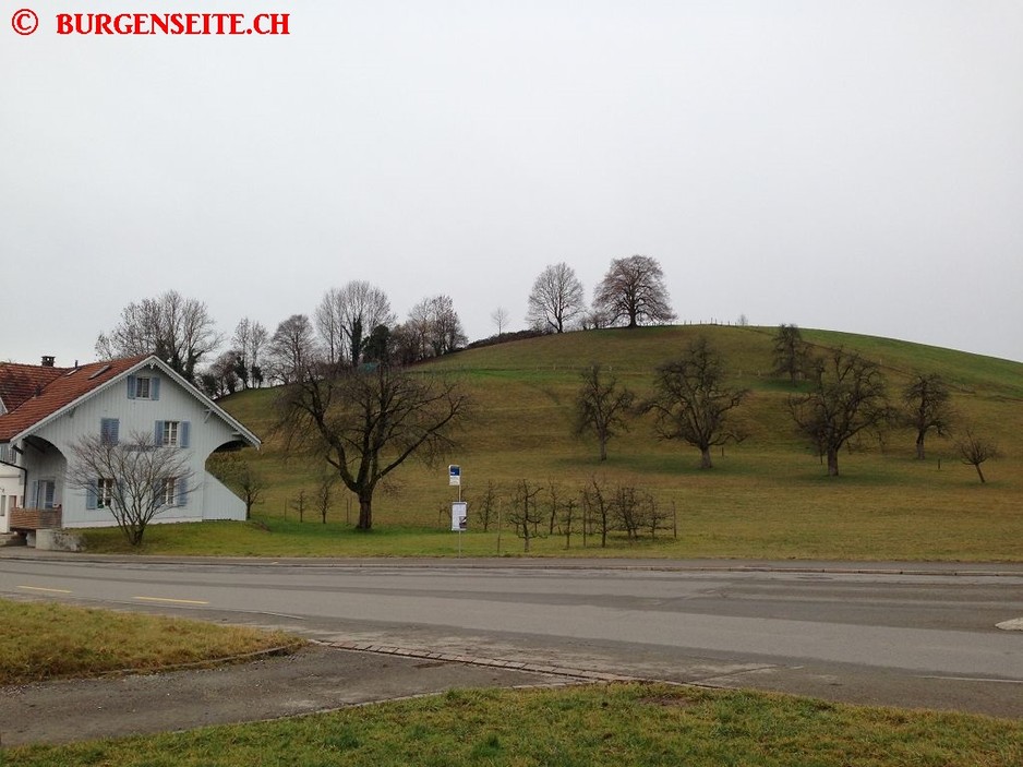Burgstelle Ottiker Büel