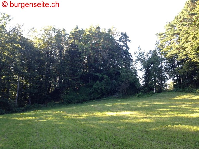 Burgstelle Radegg
