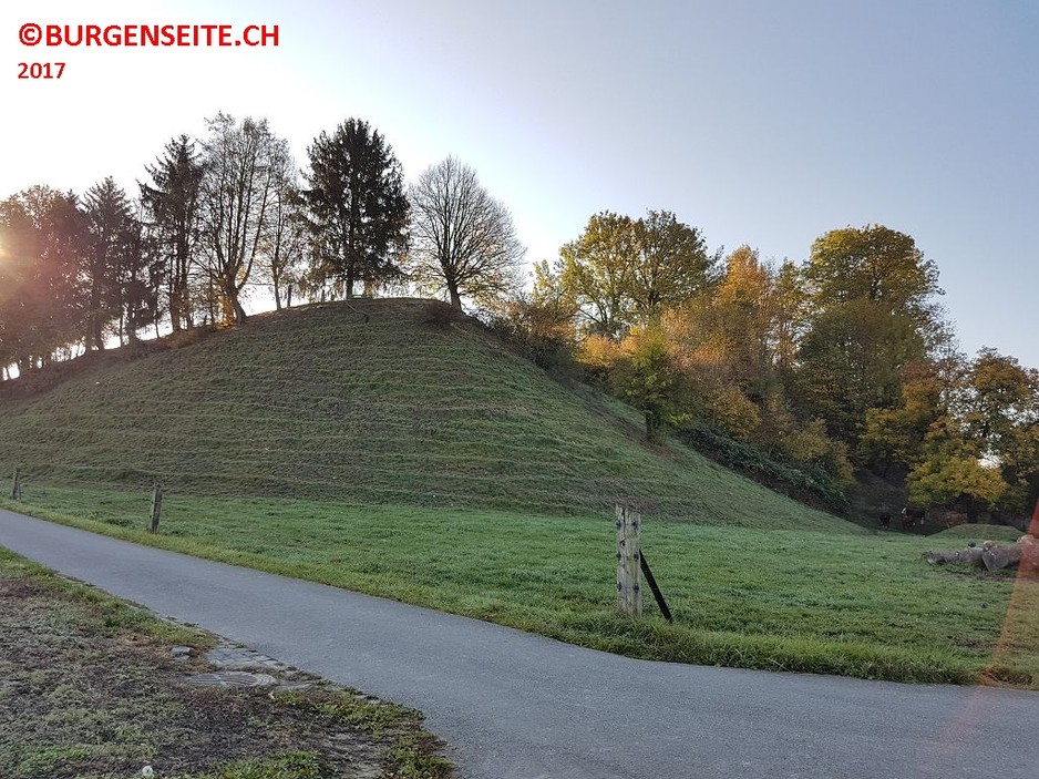 Wehranlage Rain