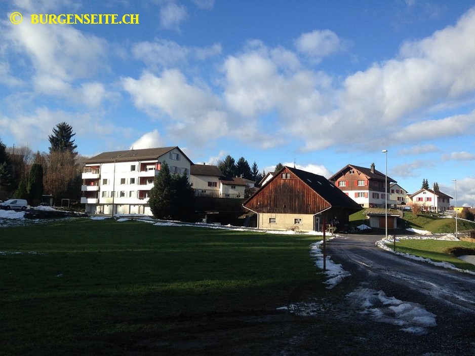 Burgstelle-Rengerswil–2- Burgstelle Rengerswil
