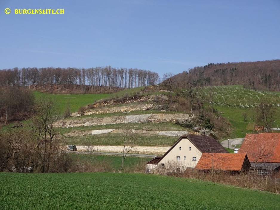 Burgstelle Ruchenstein