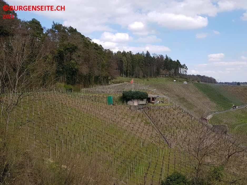 Burgstelle-Schiterberg–2- Burgstelle Schiterberg