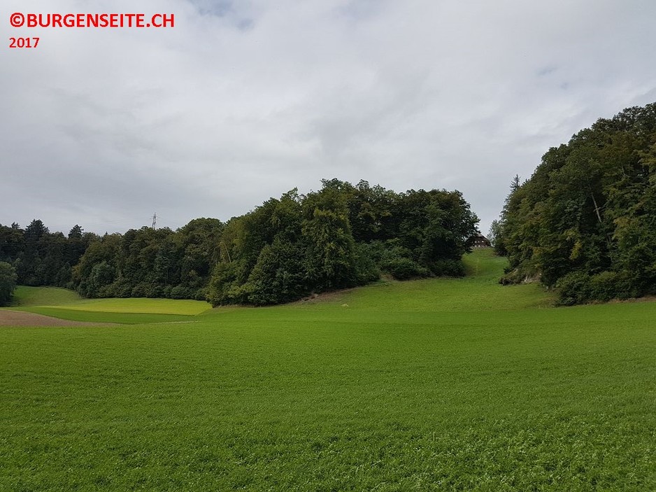 Burgstelle Schössli
