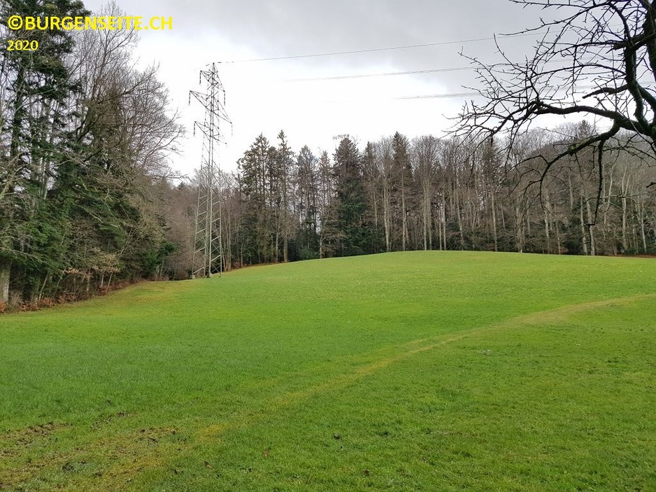 Burgstelle Schnäggenburg