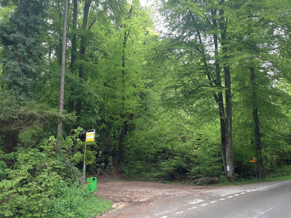 Burgstelle-Steinegg–11- Burgstelle Steinegg