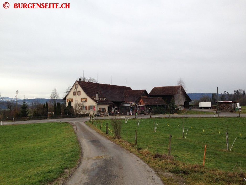 Burgstelle Sunnenberg