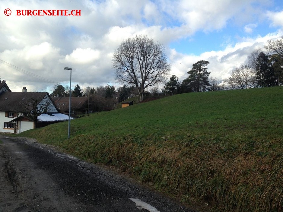 Burgstelle Tomisrain