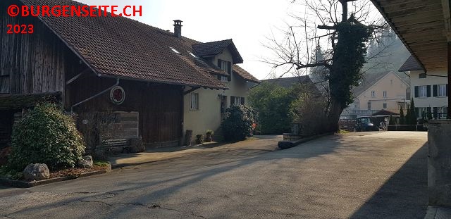Burgstelle-Villigen–2- Burgstelle Villigen
