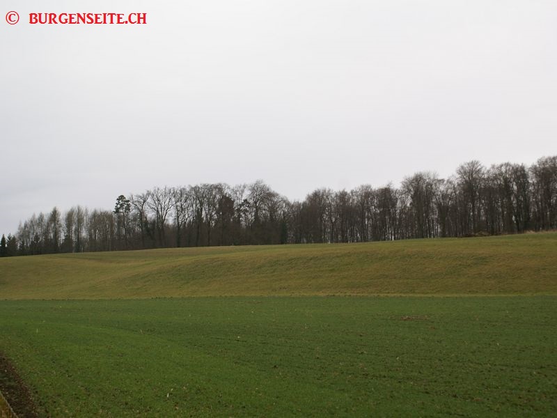 Burgstelle-Ysterberg Burgstelle Ysterberg