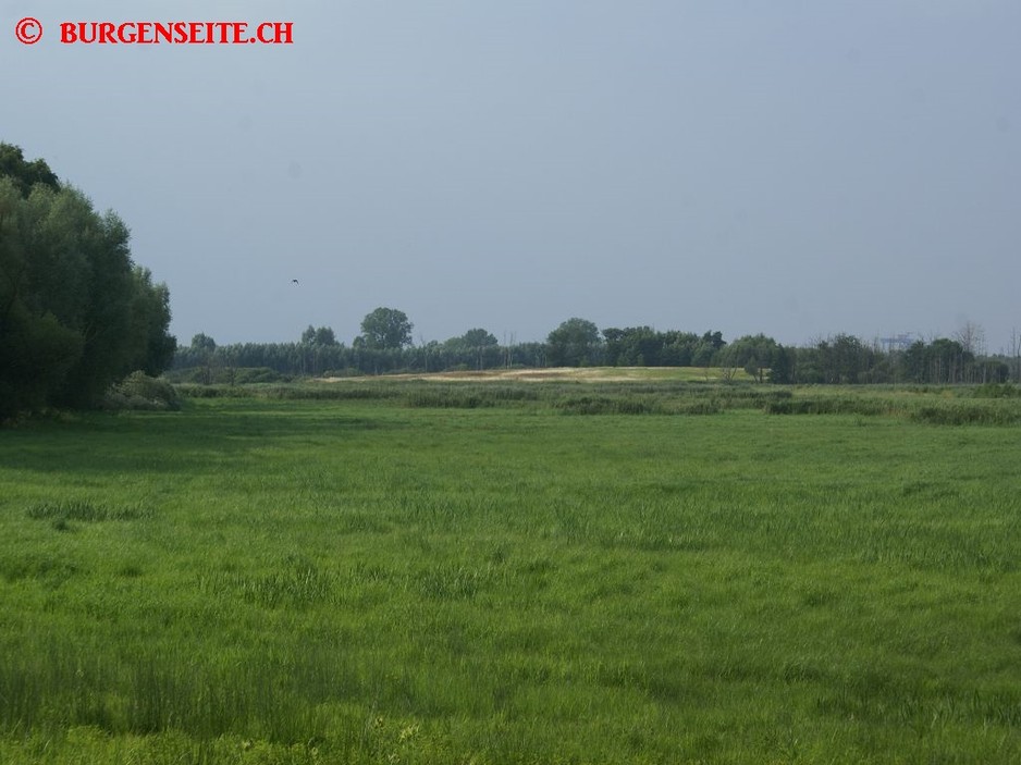 Burgwall-Toitenwinkel,-in-der-Niederung–2- Burgwall Toitenwinkel, in der Niederung