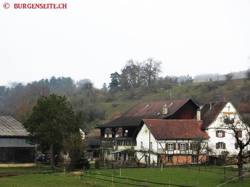 Burgstelle Beurnevésin