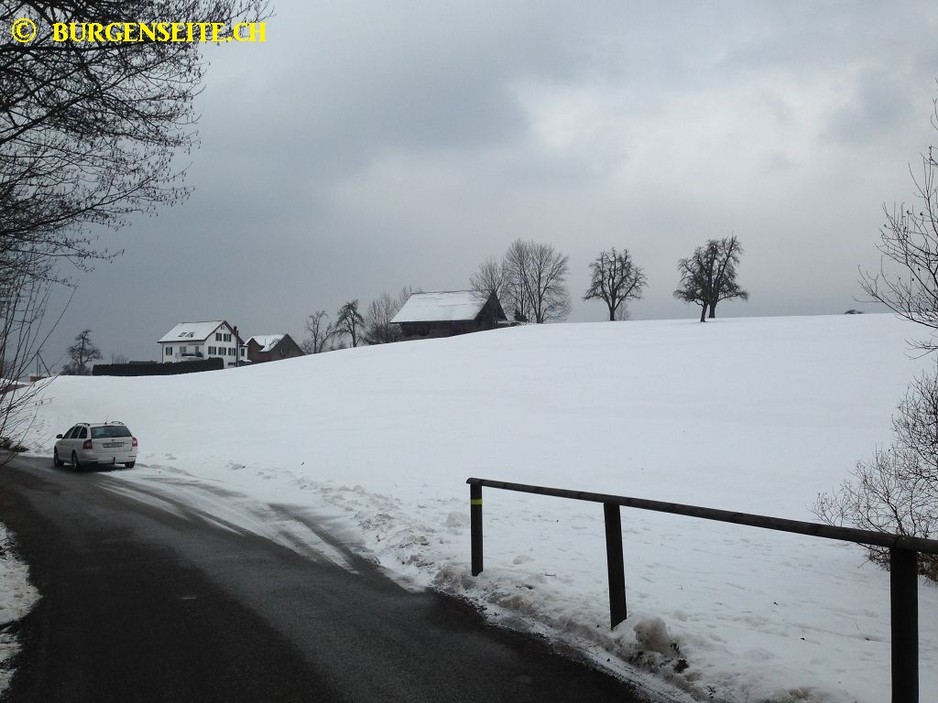 Burgstelle Naglikon