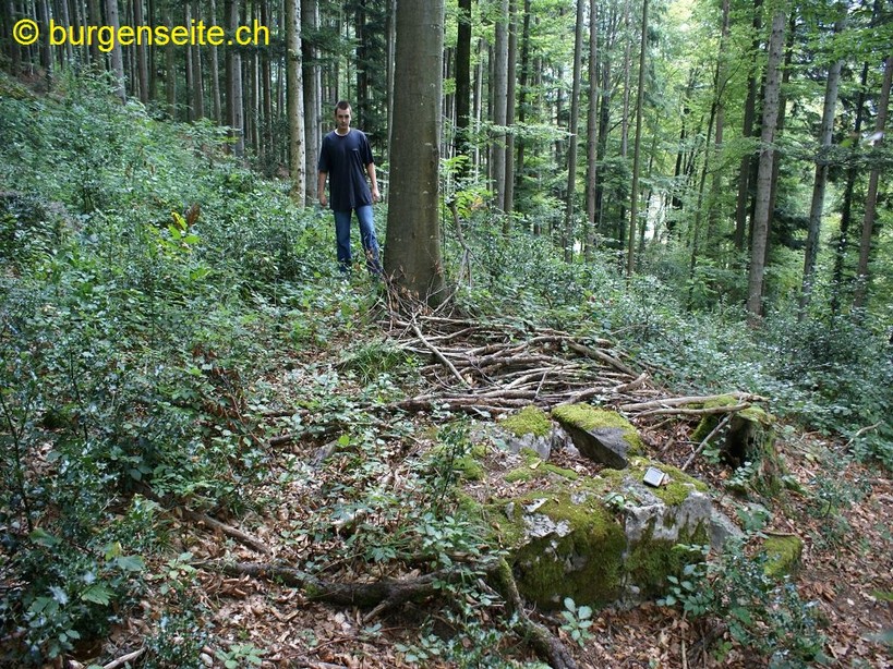 Galgen-Brandwald–1- Galgen Brandwald