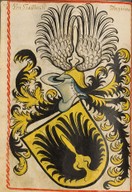 Wappen Hallwyl im Scheiblerschen Wappenbuch