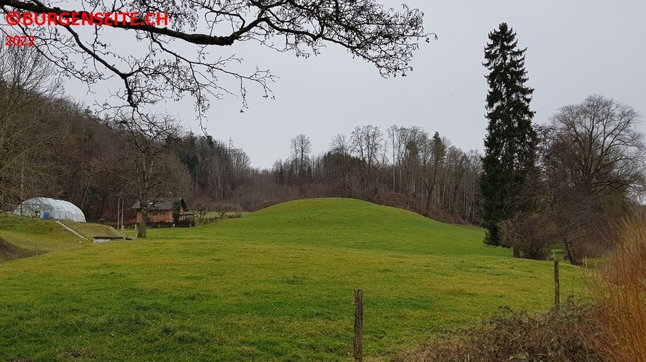 Motte-Courgevaux–4- Motte Courgevaux