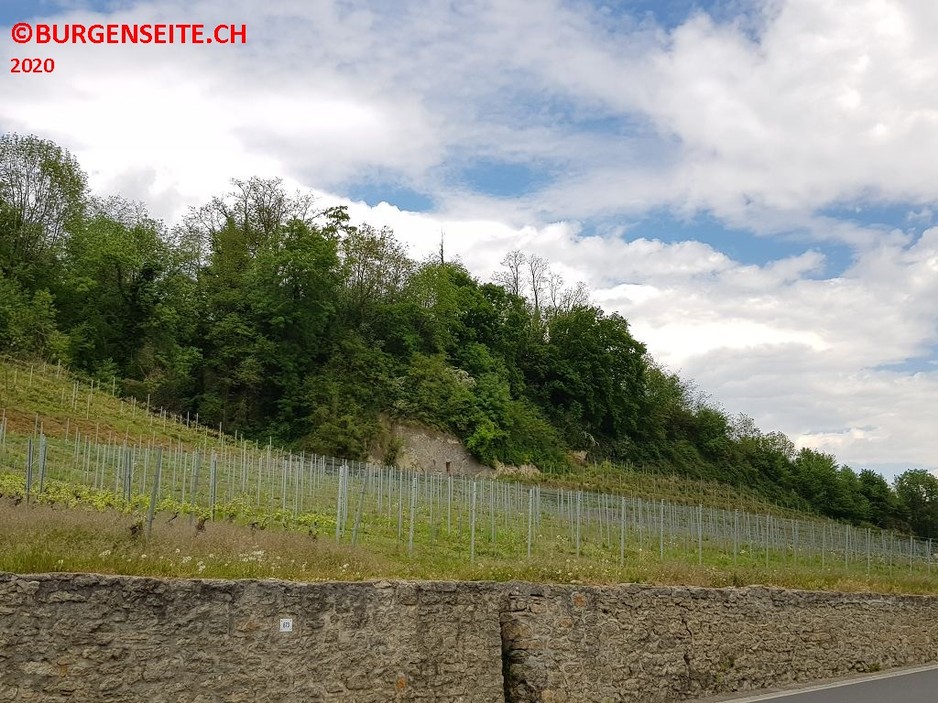 Motte Môtier