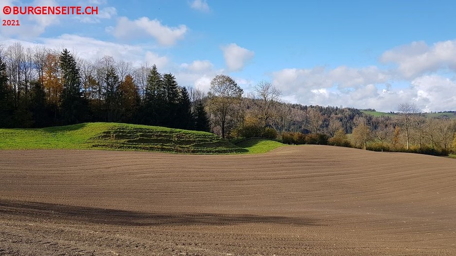 Motte Wolhausen