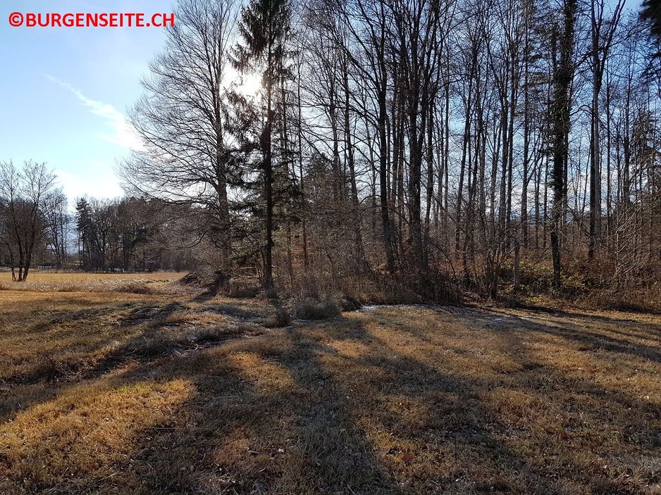 Richtstaette-Galgenmad-Sennwald–3- Galgen Galgenmad