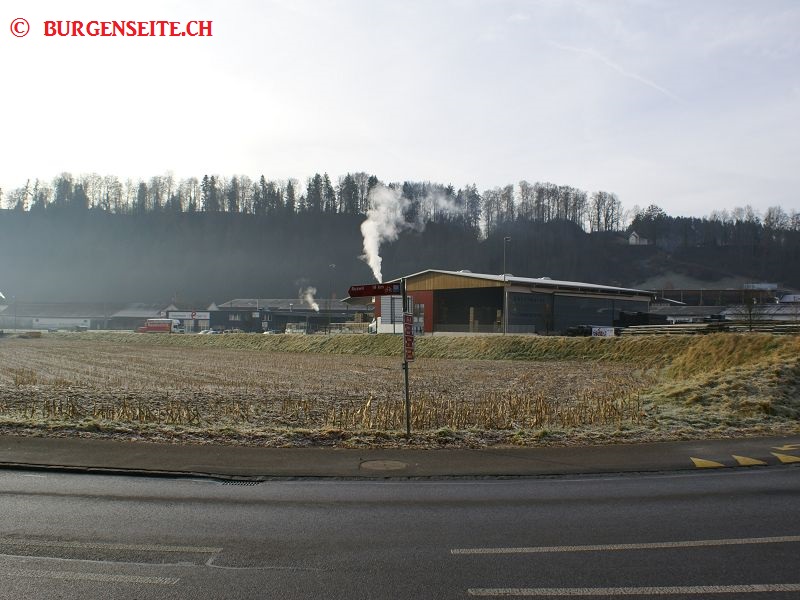 Richtstaette-Steinmatt–1- Richtstätte Steinmatt