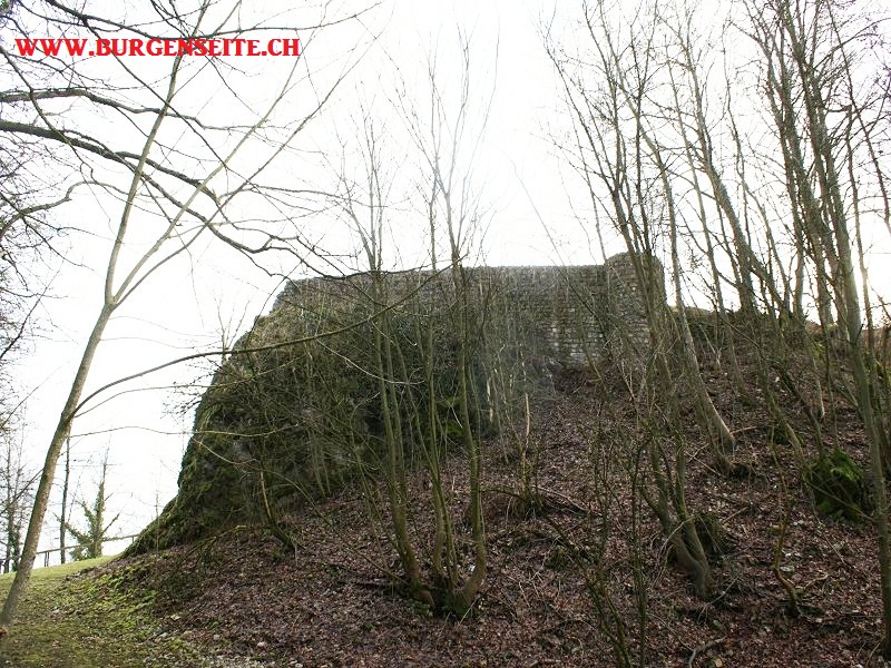 Ruine Habsburg, Vordere