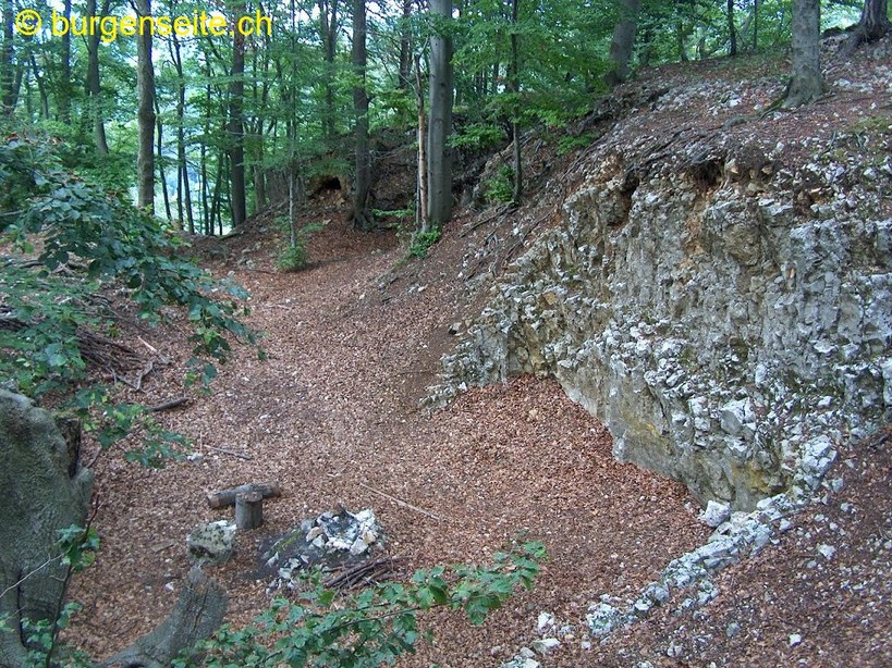 Ruine Aeschberg