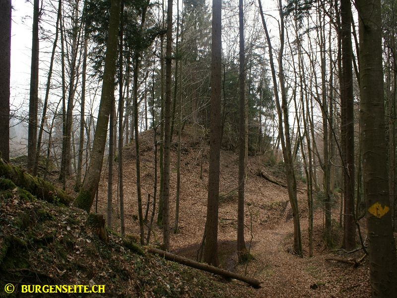 Burghügel Alt Altstätten