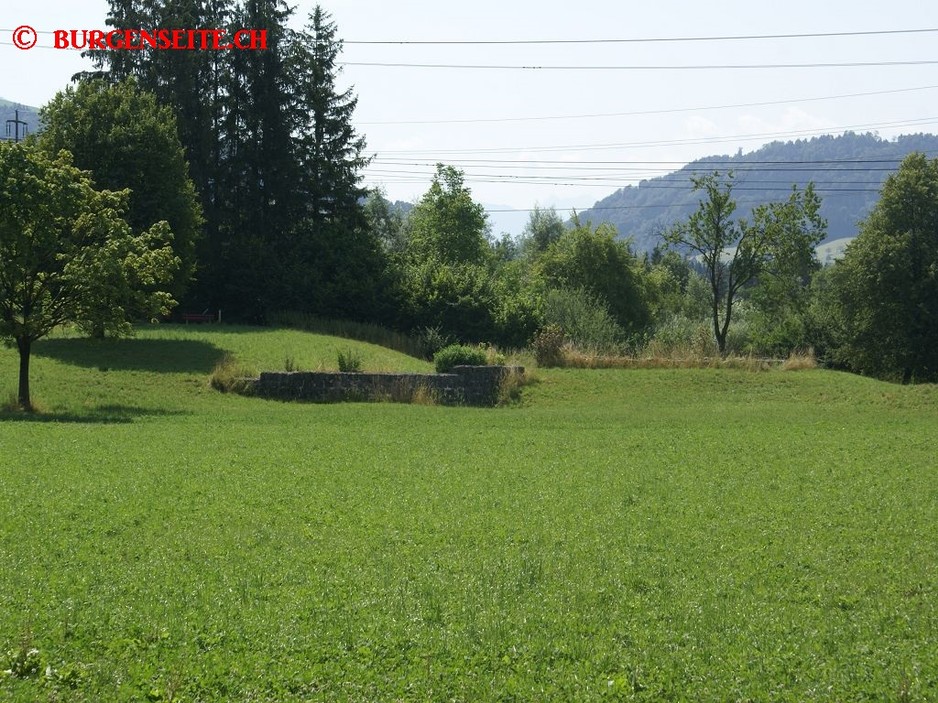 Ruine Alt Eschenbach