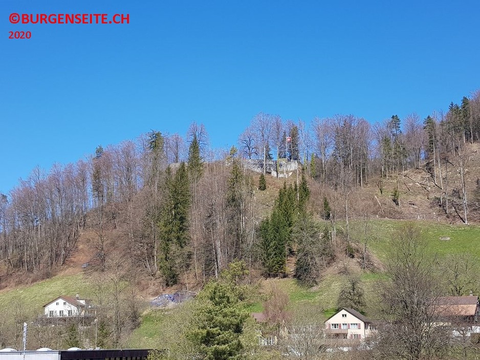 Ruine Alt Landenberg