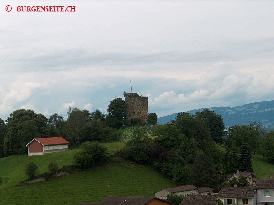 Ruine-Alt-Rheineck–1- Ruine Alt-Rheineck