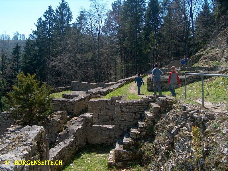 Ruine Alt Thierstein