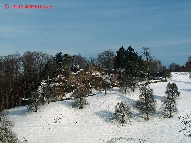 Ruine-Alt-Waedenswil–14- Ruine Alt Wädenswil
