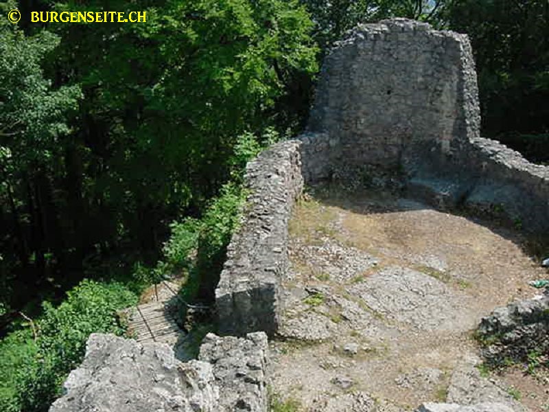 Ruine-Alt-Wartburg–8- Ruine Alt Wartburg