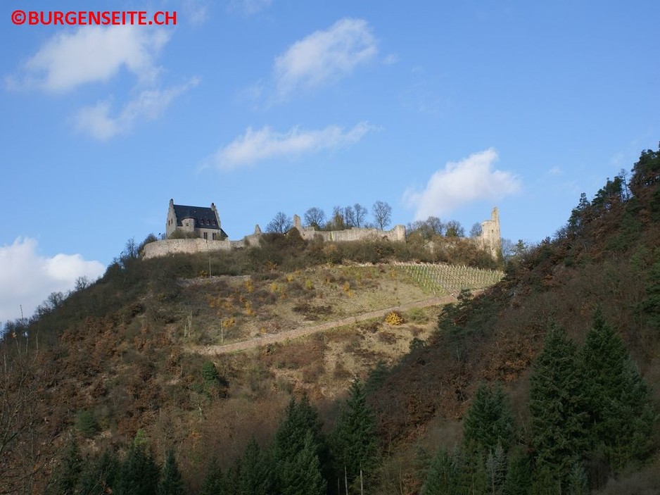 Ruine-Altenbaumburg–17- Ruine Altenbamburg
