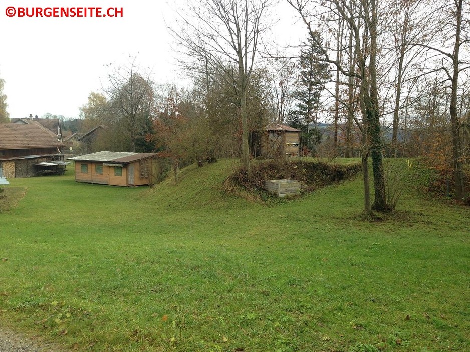 Burghügel Bäbikon
