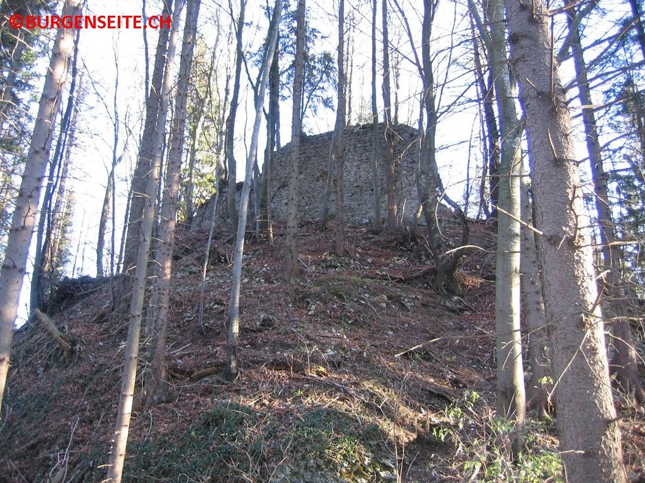 Ruine Blochmont