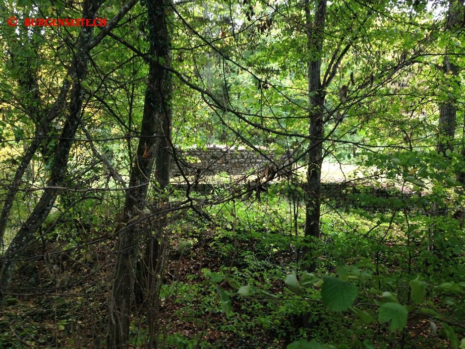 Ruine-Boebikon–1- Ruine Böbikon