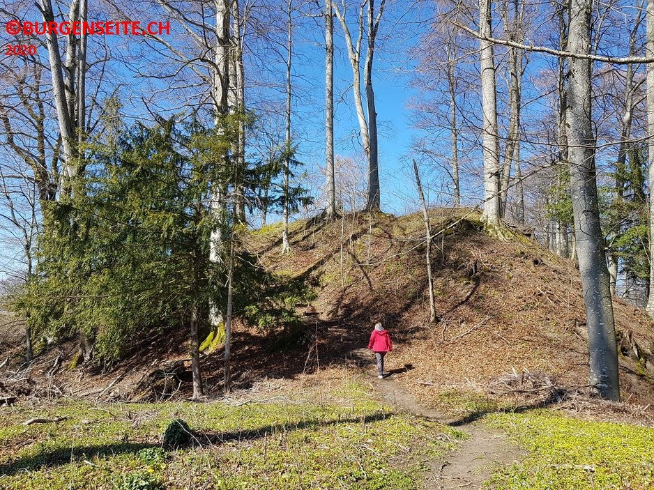 Ruine Breitenlandenberg