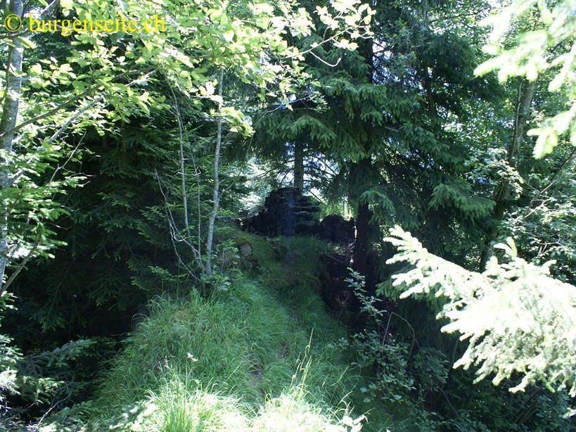 Ruine-Buerg–4- Ruine Bürg