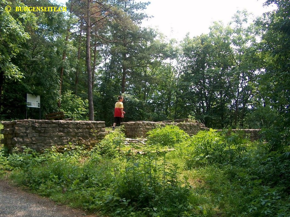Ruine Burghalden