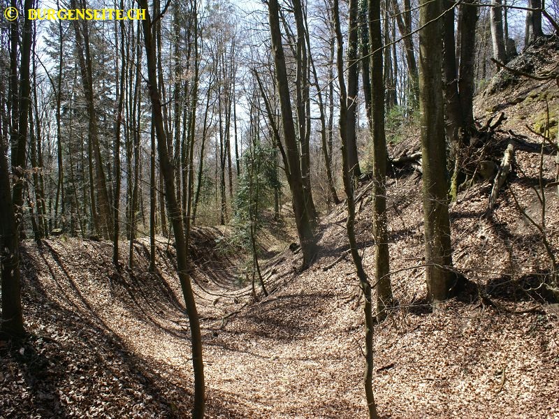 Ruine Chnebelburg