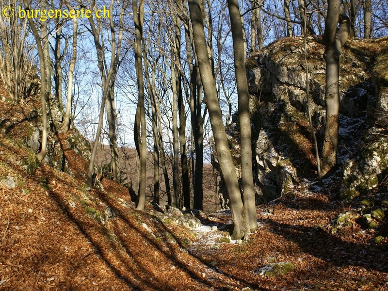 Ruine Chuenisberg
