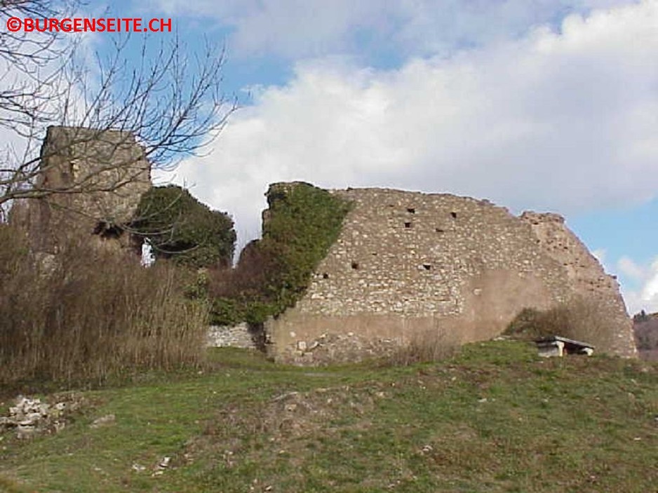 Ruine Engelberg