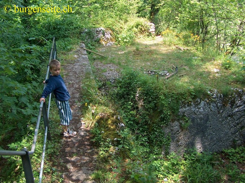 Ruine Engenstein