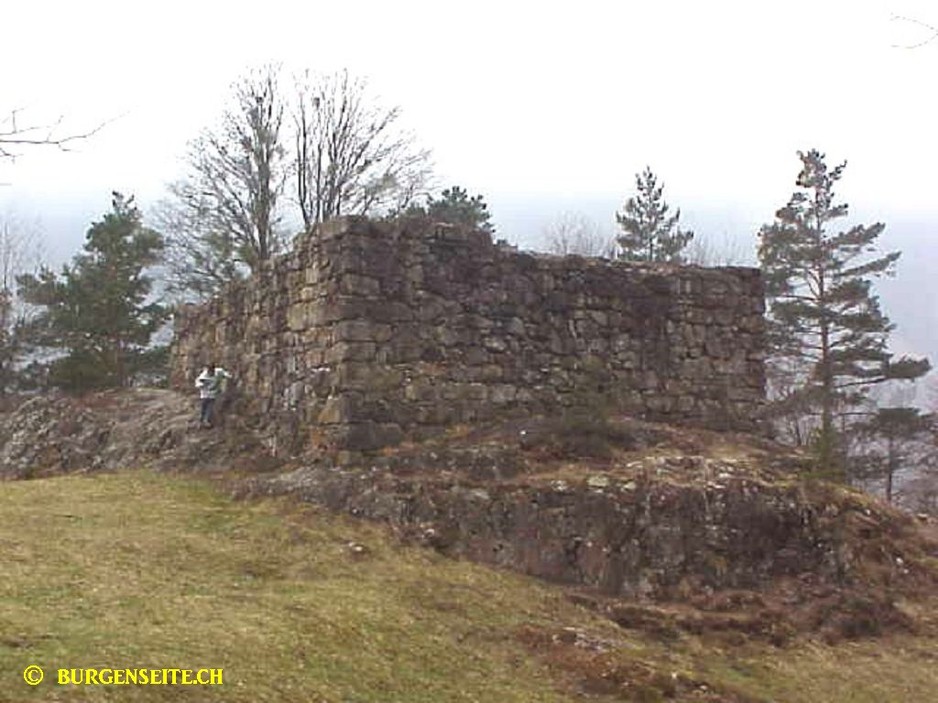Ruine Zwing Uri